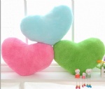 Heart Cushion