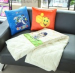 Cushion with blanket